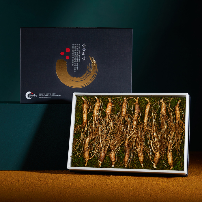 프리미엄 산속의삼 6년근 산양삼 15뿌리 산삼 장뇌삼 산양산삼