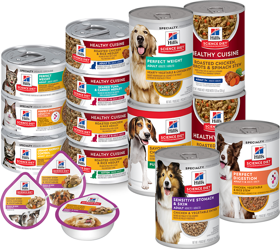 [3개 번들] 힐스 고양이 사료 어덜트 참치 스튜 79g X 3개