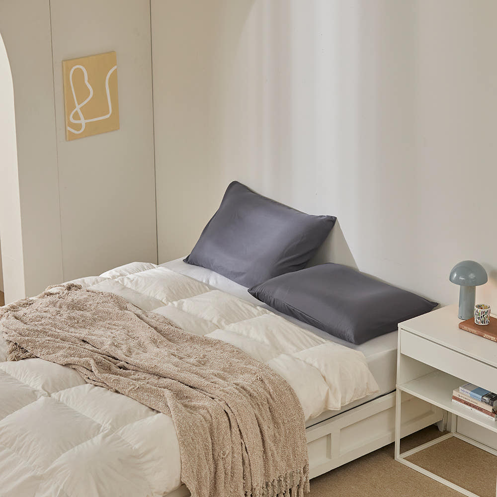 잠스쿨 정착베개