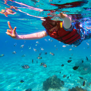 나트랑 호핑투어 미니비치 산티아고 스피드보트 한국인 액티비티 스노쿨링 체... 솔직 후기 | 실사용자 리뷰 분석 - 상품 이미지 2