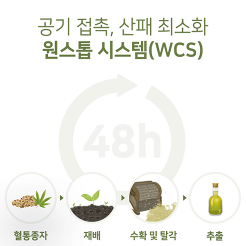 비웰 햄프씨드 대마종자유 오일 30캡슐 6박스 6개월 오메가 3 6 9 냉압착추출 이미지 6