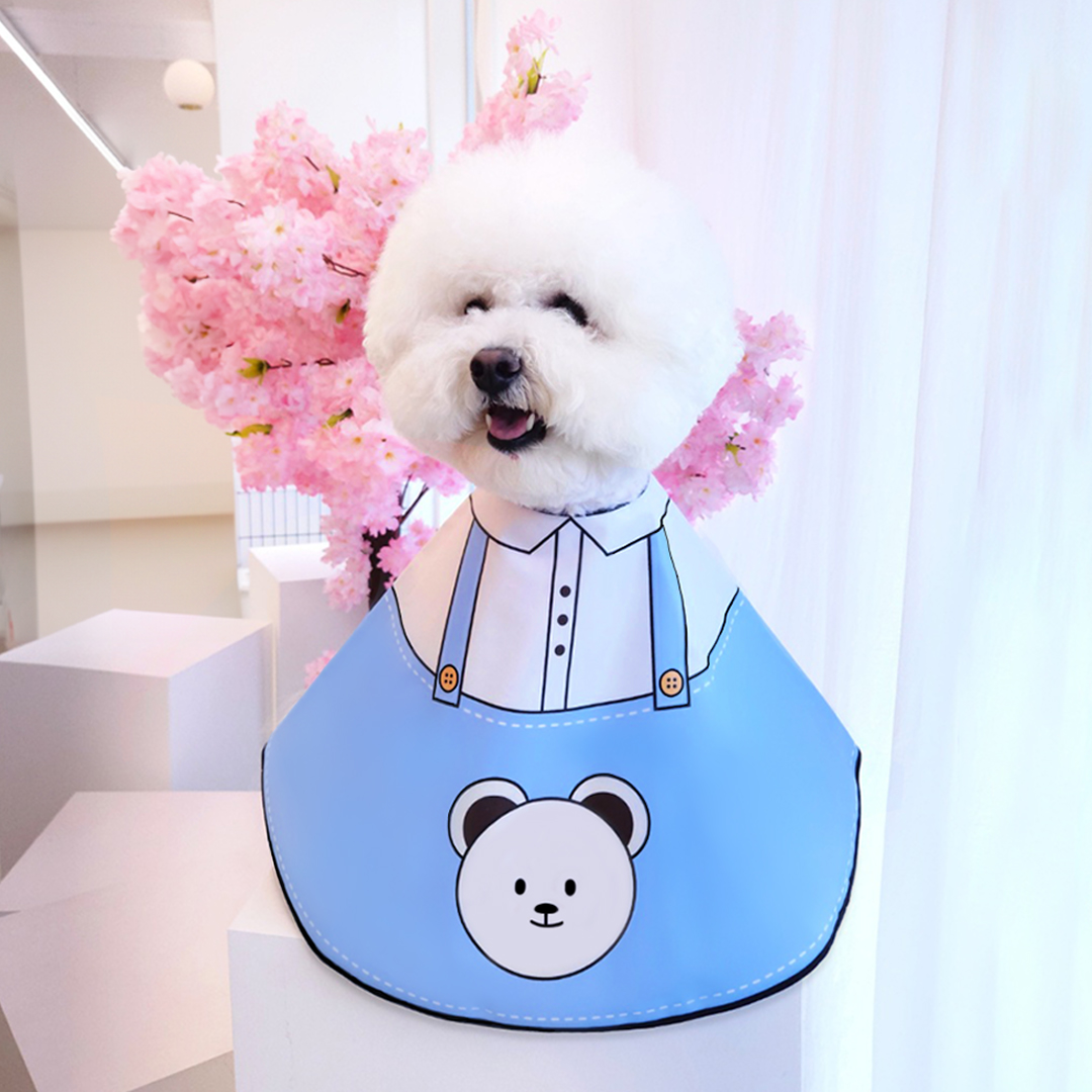 페토르 강아지세안보 애견 세안보 커트보 블루 S - 상품 이미지