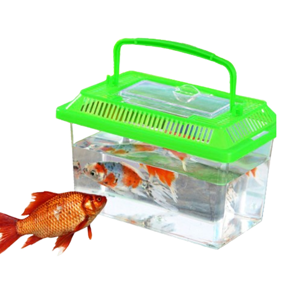 곤충채집통 1호 야외 학습 체험 관찰 일기 방학 사슴벌레 관찰통 플라스틱 어항 다슬기 제품 이미지