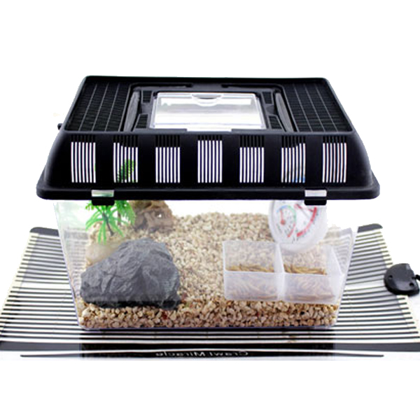 곤충 채집통 Feeding Box 1호 피딩 브리딩 박스 파충류 햄스터 도마뱀 튼튼한 어항 수조 소동물 사육장 - 상품 이미지