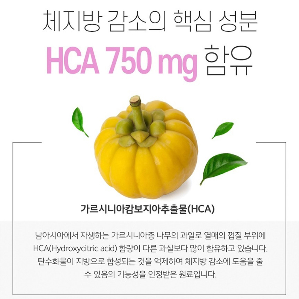 다이어트 가르시니아 캄보지아 추출물 HCA 체지방감소 나이아신 판토텐산 비타민 복부 지방 - 상세 이미지 3