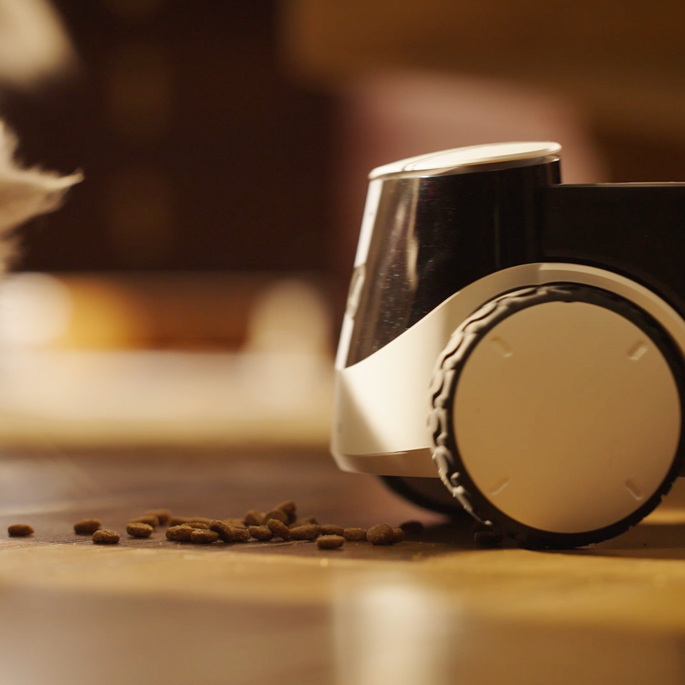 롤라펫팔 돌아다니면서 간식주는 CCTV 간식로봇 카메라 (강아지 고양이 펫캠) by왓더펫