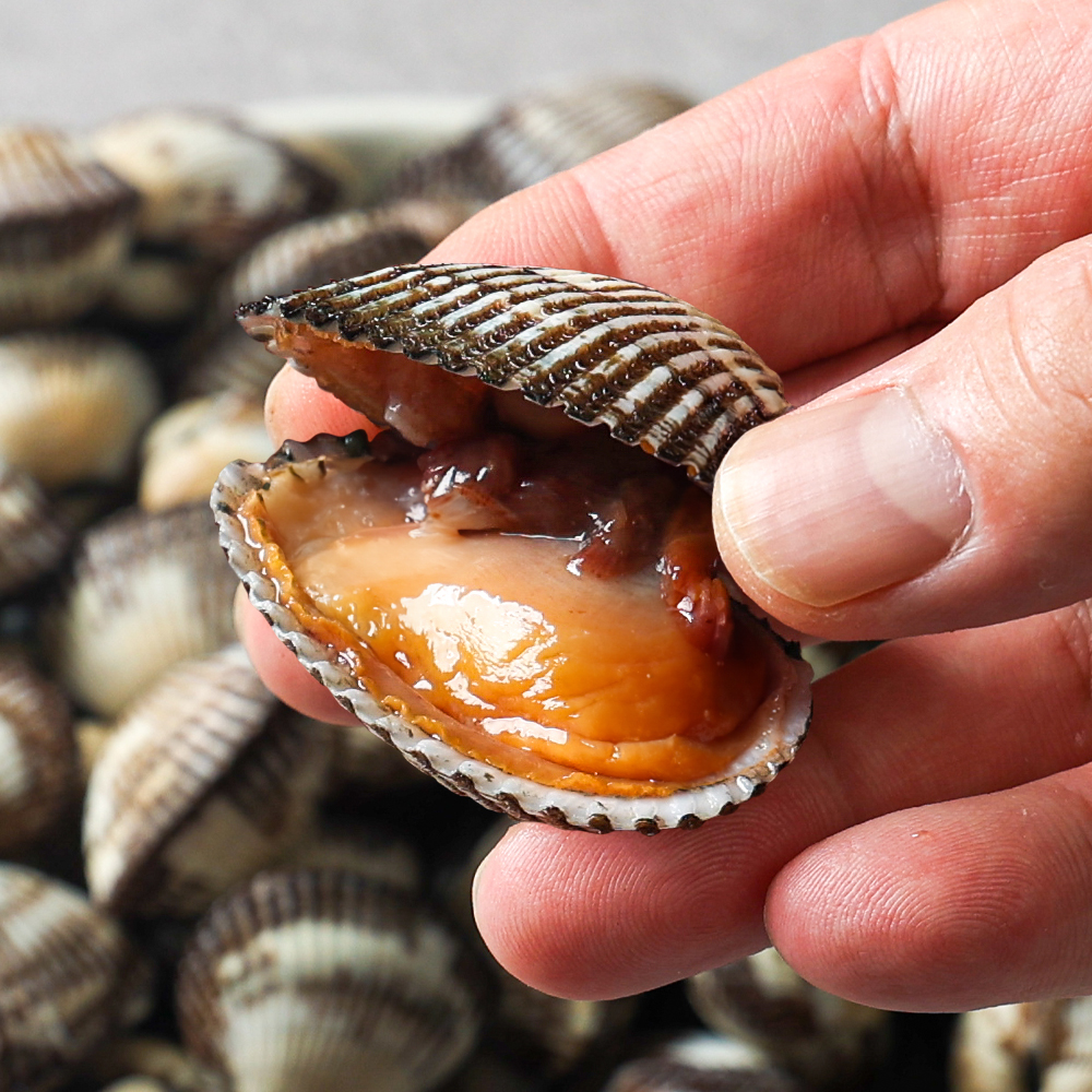 벌교꼬막 당일채취 새꼬막 1kg