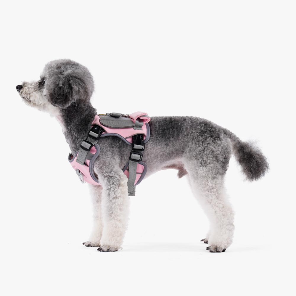 인터라켄 에어쿨링 강아지 H형 여름 하네스 옷 소형견 앞섬방지 앞고리 XXS