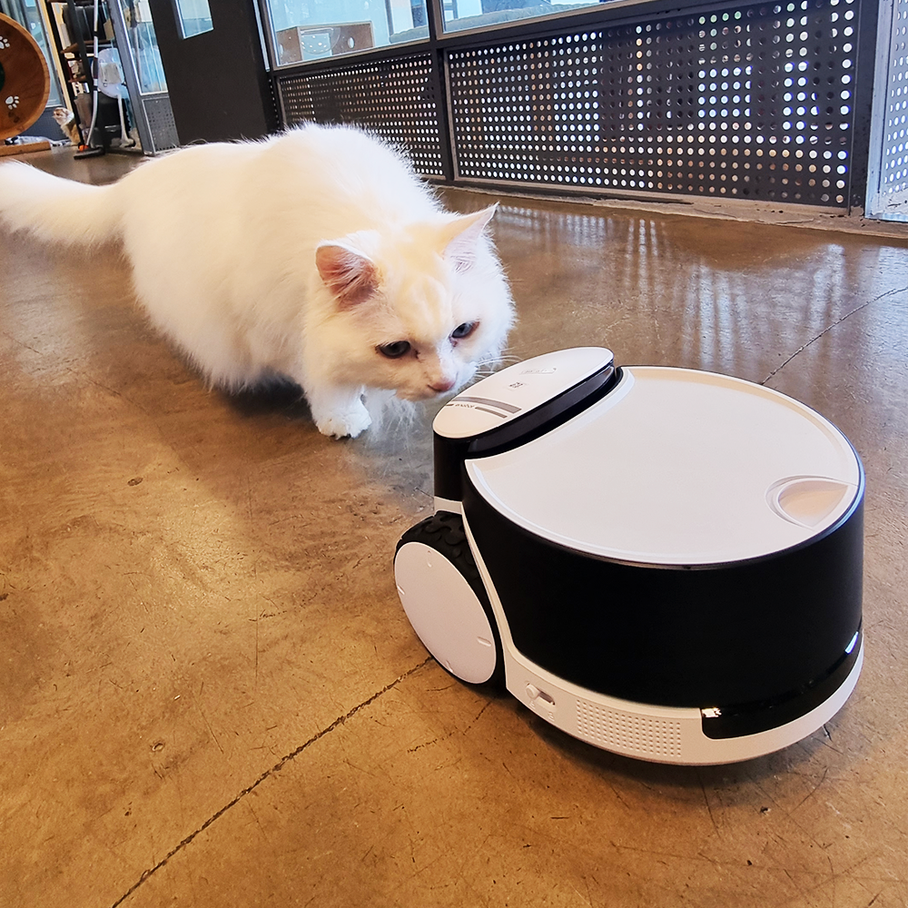 롤라펫팔 돌아다니면서 간식주는 CCTV 간식로봇 카메라 (강아지 고양이 펫캠) by왓더펫