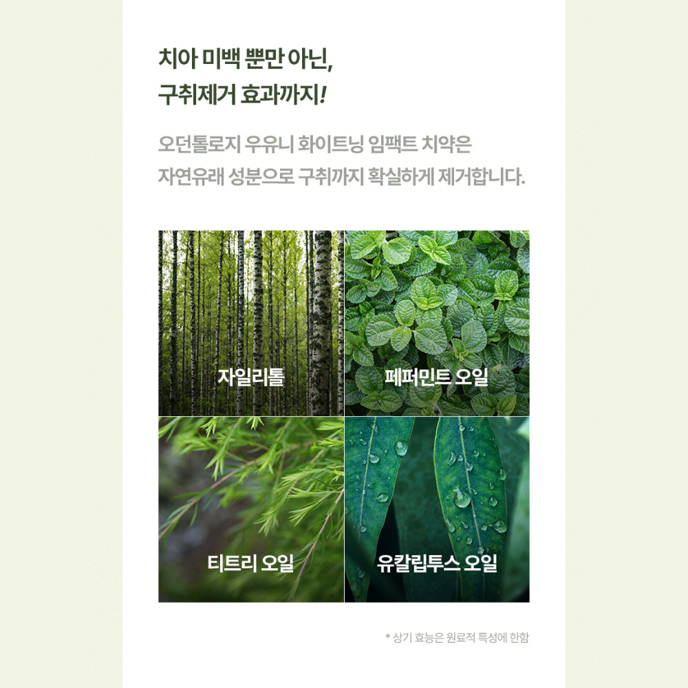 오던톨로지 미백치약 화이트닝 치아 누렁니 우유니 소금치약 비건 100g, 1개