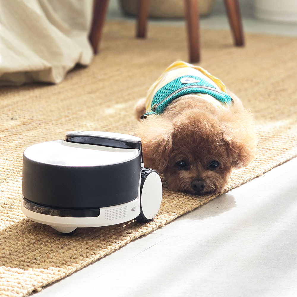 롤라펫팔 돌아다니면서 간식주는 CCTV 간식로봇 카메라 (강아지 고양이 펫캠) by왓더펫