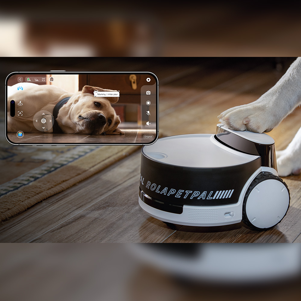 롤라펫팔 돌아다니면서 간식주는 CCTV 간식로봇 카메라 (강아지 고양이 펫캠) by왓더펫