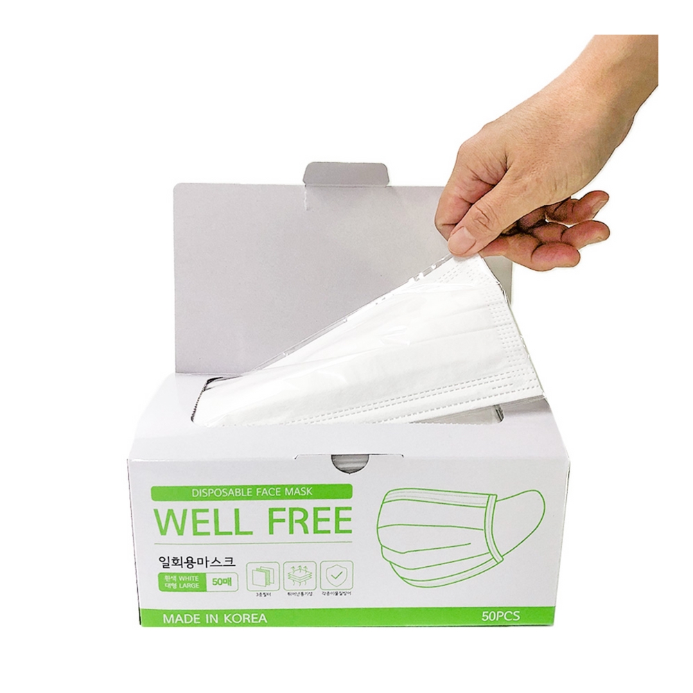 웰프리 덴탈마스크 대형 100매 MB필터 귀편한 비말 마스크
