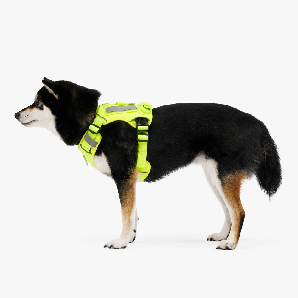 인터라켄 에어쿨링 강아지 H형 여름 하네스 옷 소형견 앞섬방지 앞고리 XXS