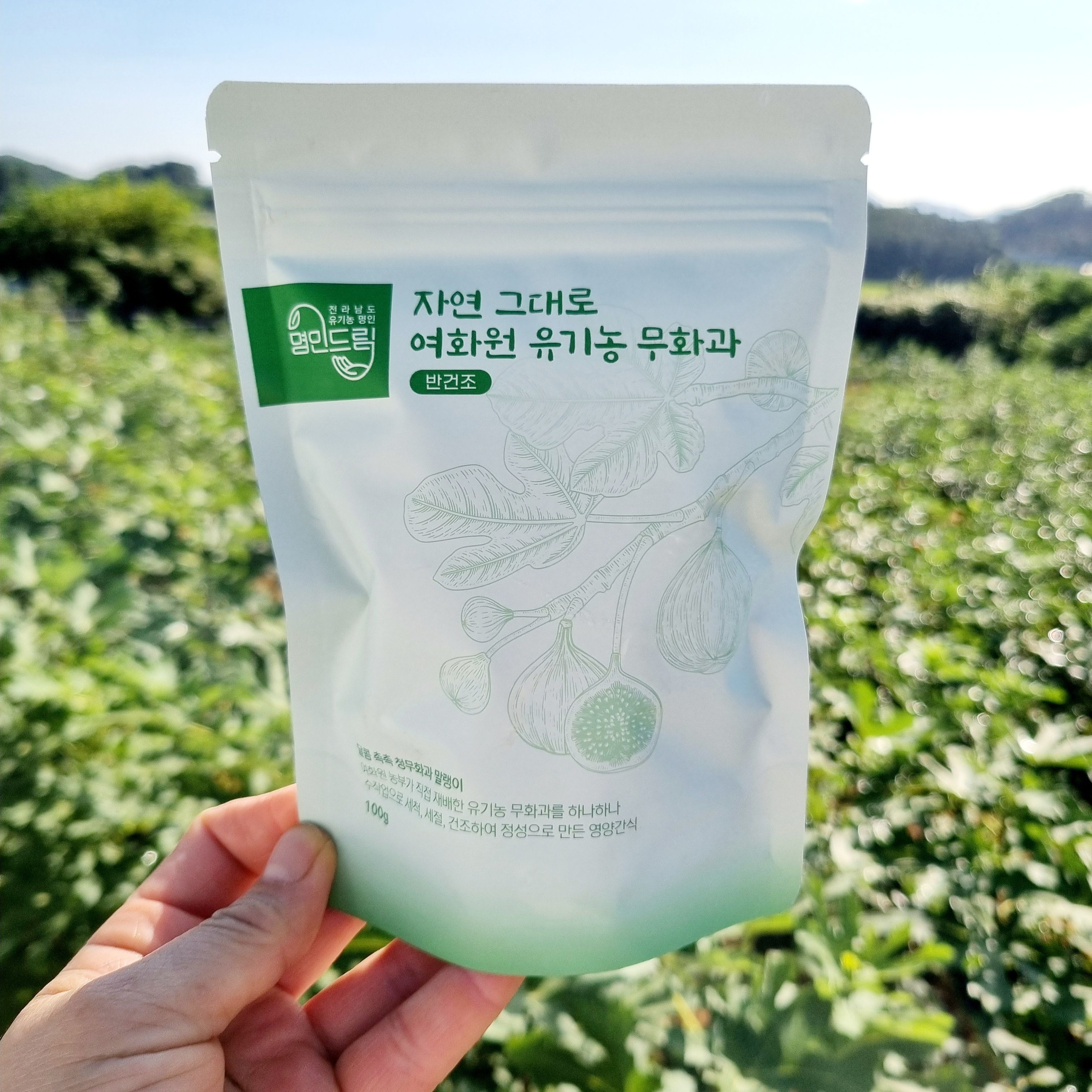 유기농 반건조 청무화과 말랭이 100g /국산 유기농 명인 건무화과 건과일 말린 건조과일 - 상세 이미지 2