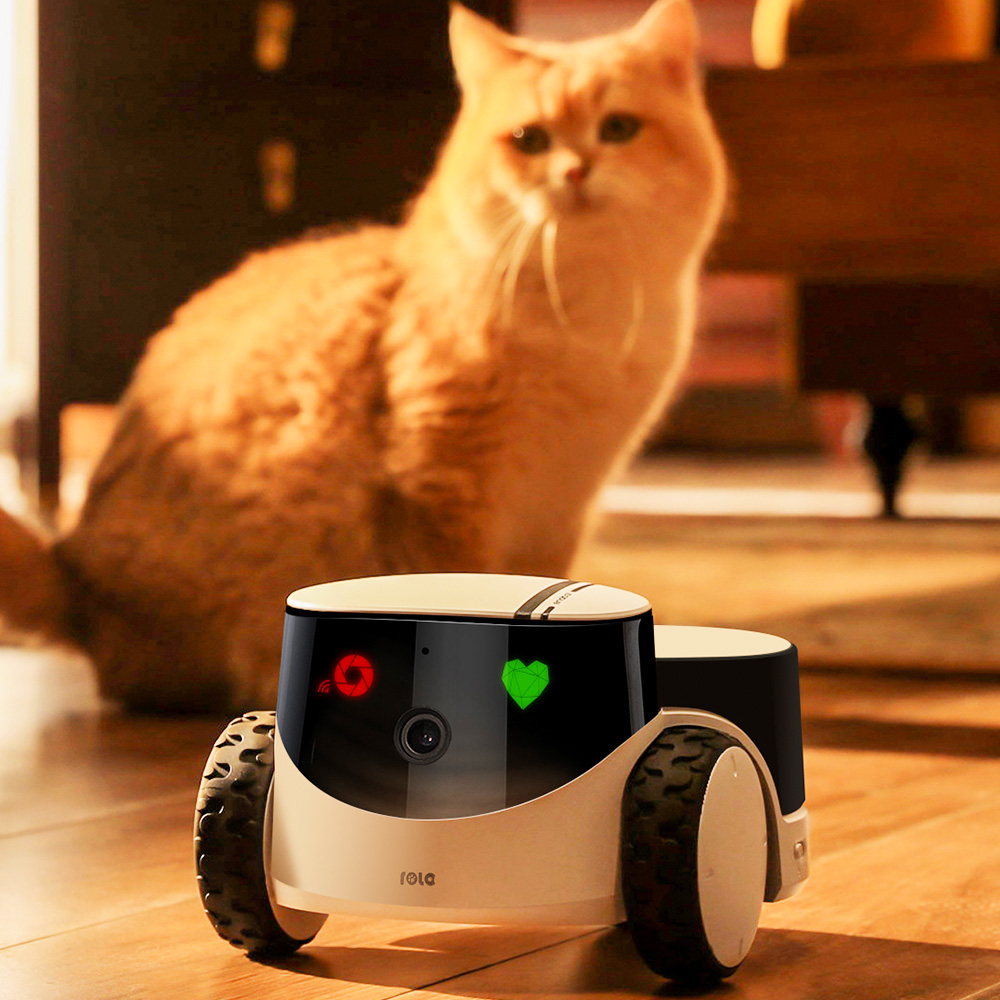 롤라펫팔 돌아다니면서 간식주는 CCTV 간식로봇 카메라 (강아지 고양이 펫캠) by왓더펫