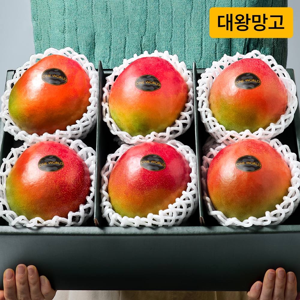 원월드 대왕 애플망고, 프리미엄 망고 선물, 맛있는 망고 추천, 과일 선물세트 추천