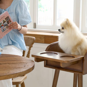 [강아지의 날] 플라팜 강아지 식탁의자 펫체어 애견 하이체어 반려견 솔직 후기 | 실제 사용자 리뷰 총정리 - 상품 이미지 4