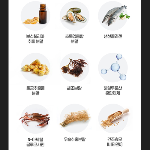 닥터브라이언 소연골 콘드로이친 1200 뮤코다당 단백 60정 2통 2개월 관절 연골 건강 - 상세 이미지 4