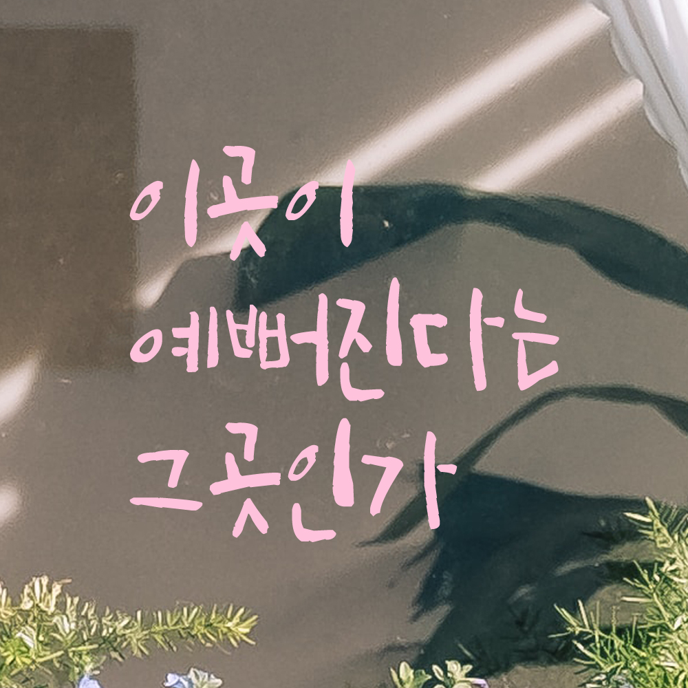 특대형 캘리그라피 레터링 스티커 주문제작 이곳이 예뻐진다는 그곳인가 LC-059XL 검정 - 상세 이미지 4