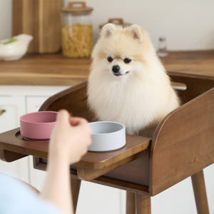 [강아지의 날] 플라팜 강아지 식탁의자 펫체어 애견 하이체어 반려견 솔직 후기 | 실제 사용자 리뷰 총정리 - 상품 이미지 3