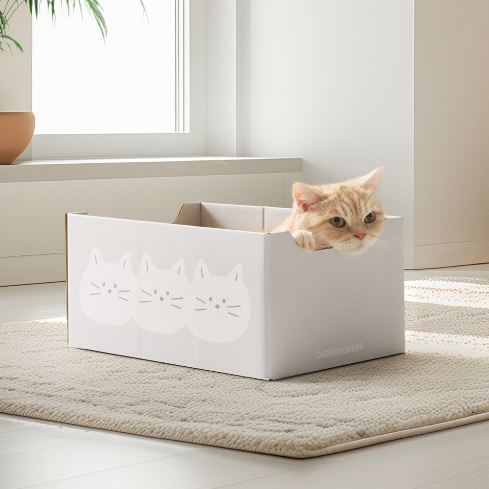 옥희독희 고양이 스크래쳐 장난감 고양이집 박스 쇼파 숨숨집 더스트프리 세쌍둥냥 소형