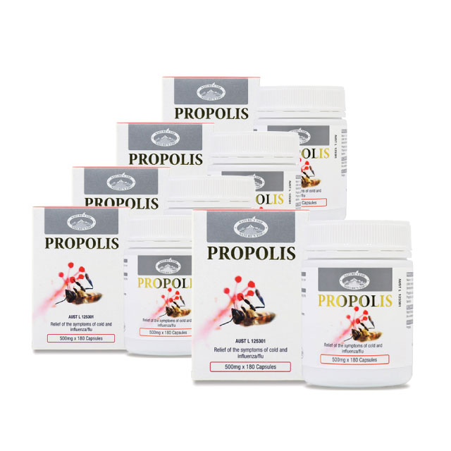 (2통) 호주 네이쳐스탑 100% 호주산 프로폴리스 500mg 180캡슐 이미지 6