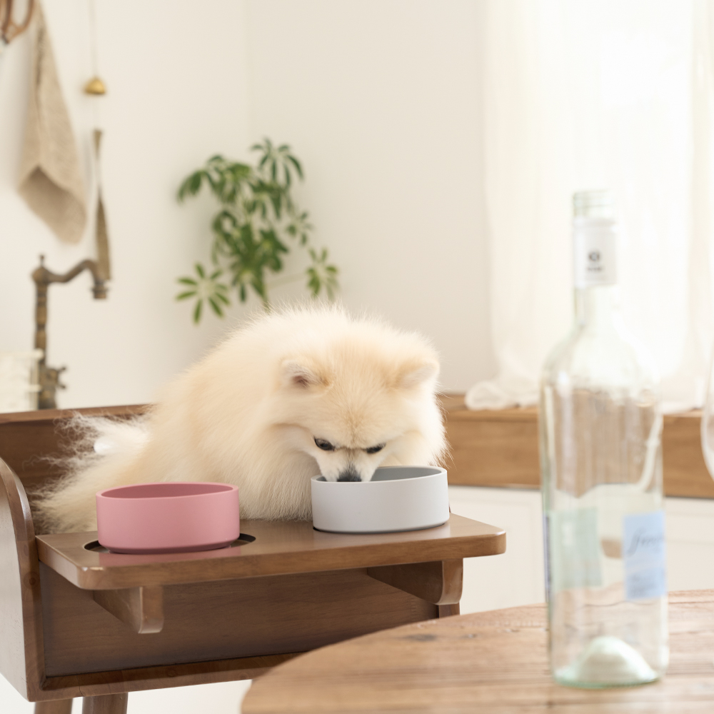 플라팜 강아지 식탁의자 펫체어 애견 하이체어 반려견