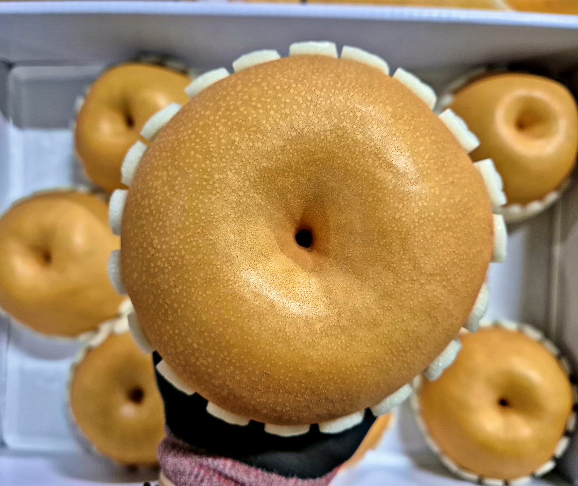 나주배 신고배 7.5kg 명절 추석 선물세트 선물용 보자기 제공