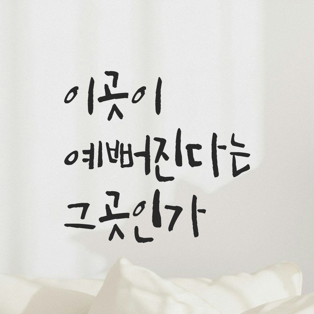 특대형 캘리그라피 레터링 스티커 주문제작 이곳이 예뻐진다는 그곳인가 LC-059XL 검정 이미지 7
