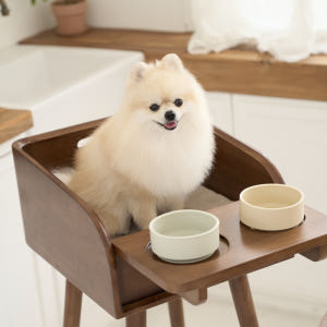 [강아지의 날] 플라팜 강아지 식탁의자 펫체어 애견 하이체어 반려견 솔직 후기 | 실제 사용자 리뷰 총정리 - 상품 이미지 2