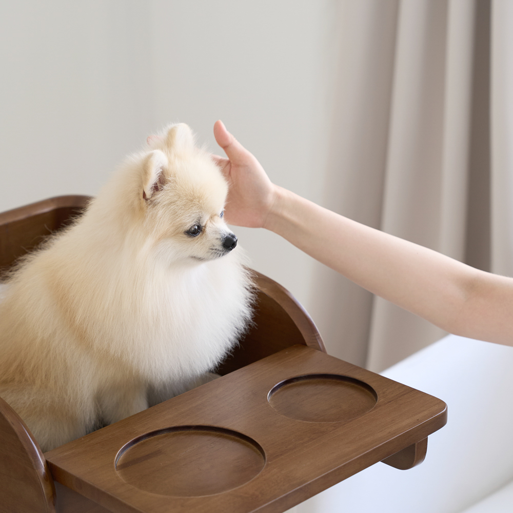 플라팜 강아지 식탁의자 펫체어 애견 하이체어 반려견