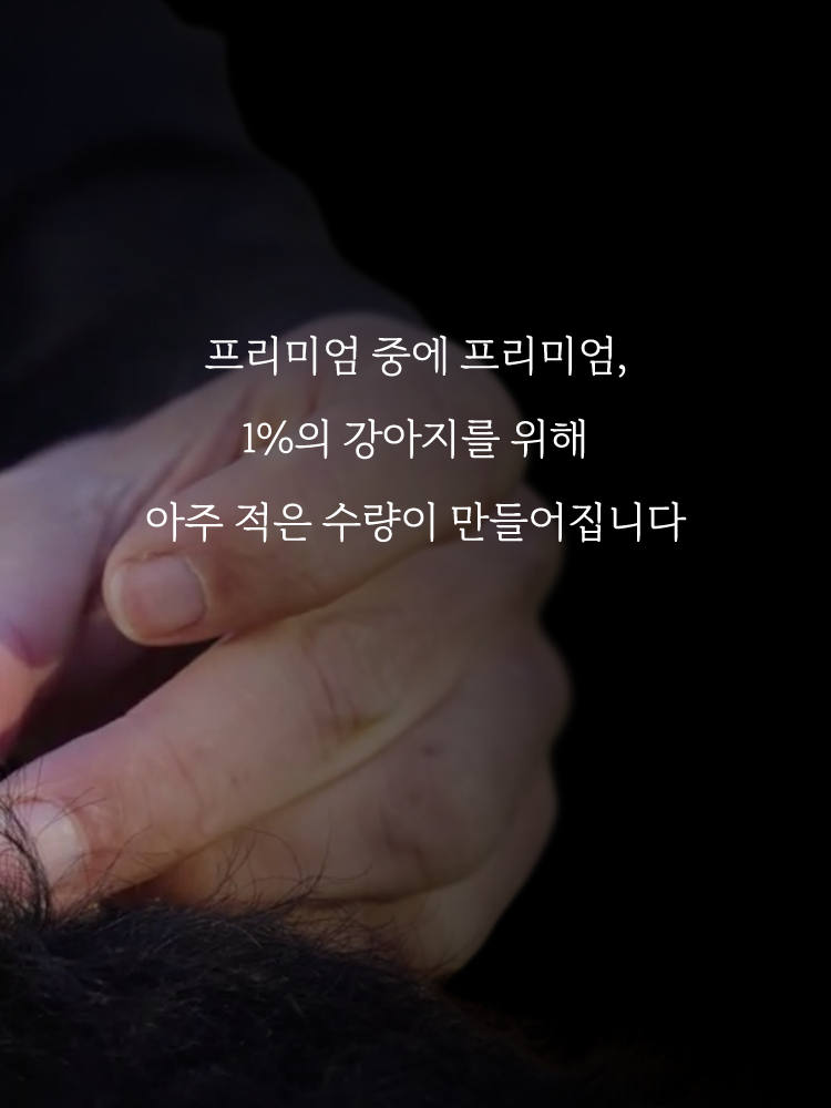 스위스 큘리 프리미엄 리드줄 애플레더 에디션 1.6m 이미지 7