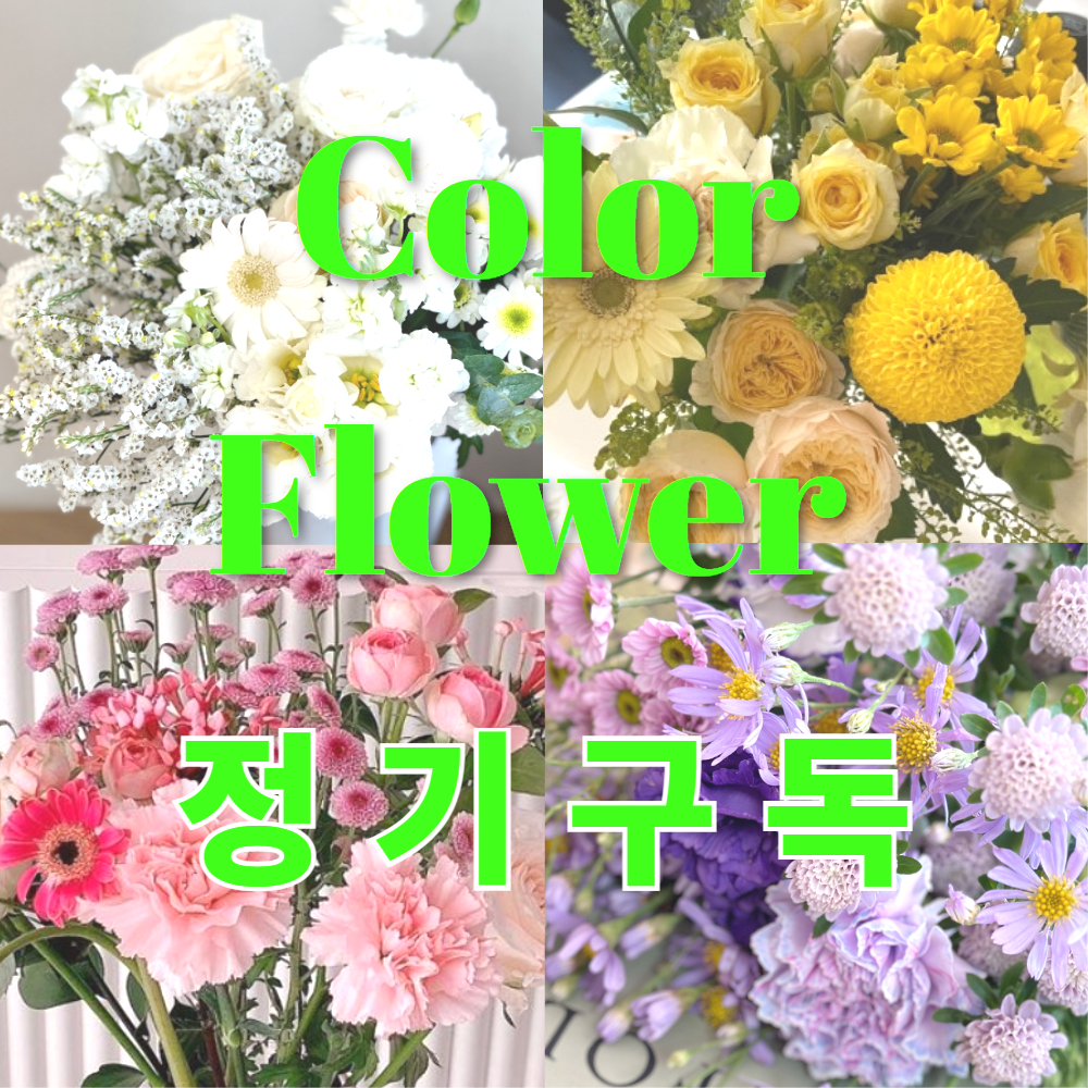 리틀캠든 최애컬러(원하는 컬러감 선택) 정기배송 - 상품 이미지