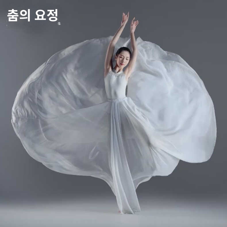 여성 스윙 스커트 공연 천 댄스 무용 의상 - 상품 이미지