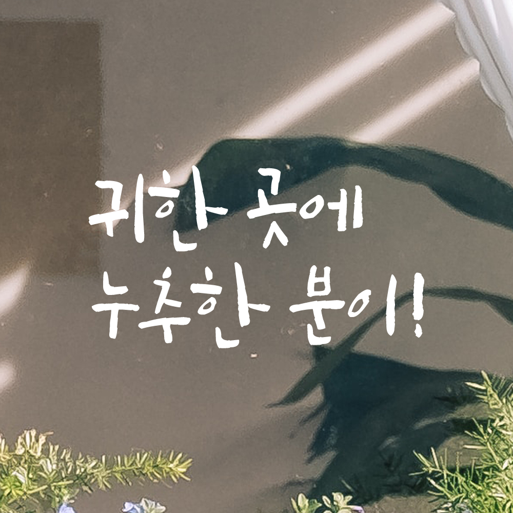 특대형 캘리그라피 레터링 스티커 주문제작 귀한 곳에 누추한 분이 LC-072XL 검정 - 상세 이미지 2
