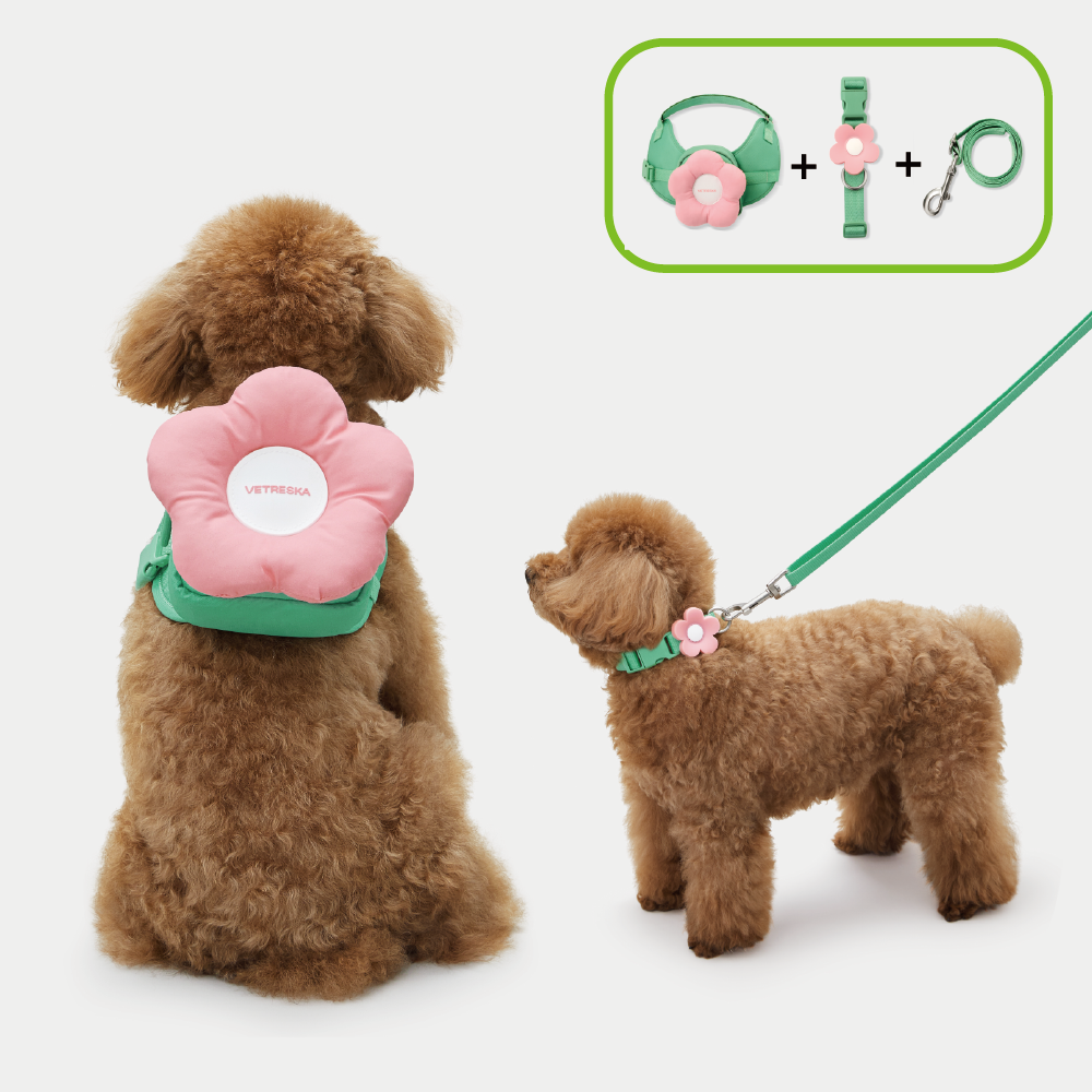 플라워 강아지 하네스 가슴줄 세트 XXS