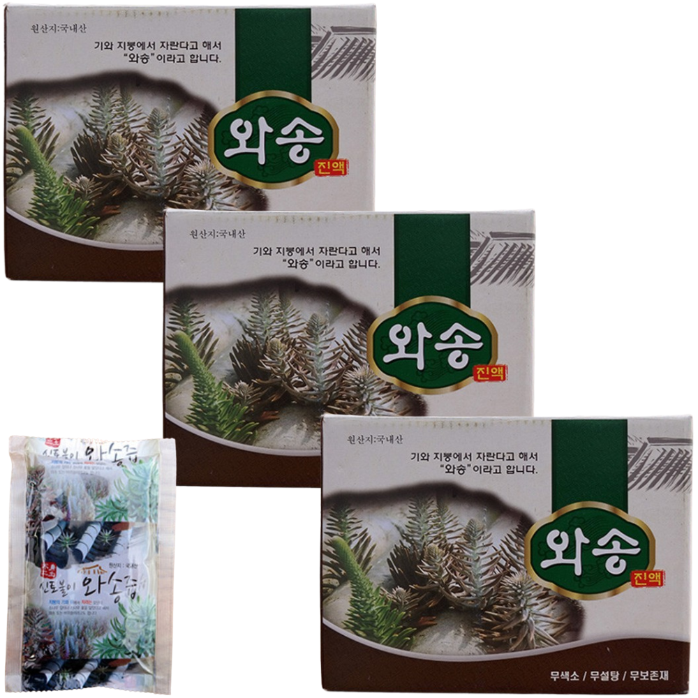 신토불이 생 와송 진액 즙 100ml 60포 3박스 국산 엑기스 농축액 액기스 선물 - 상품 이미지