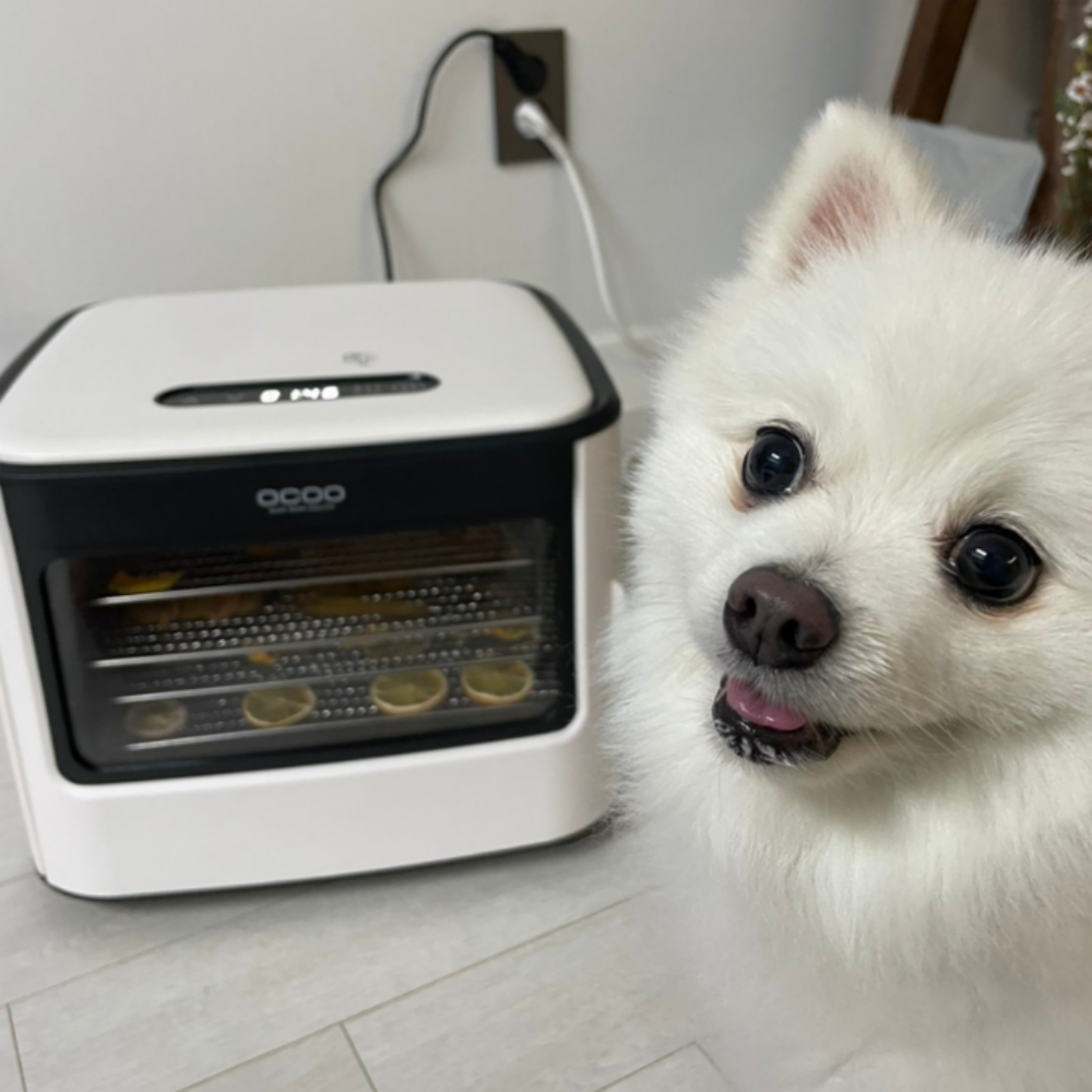 [햇빛 건조로 살균력 극대화] 오쿠 풀스텐 적외선 식품 건조기 5단 OCD-IF500 햇빛 건조