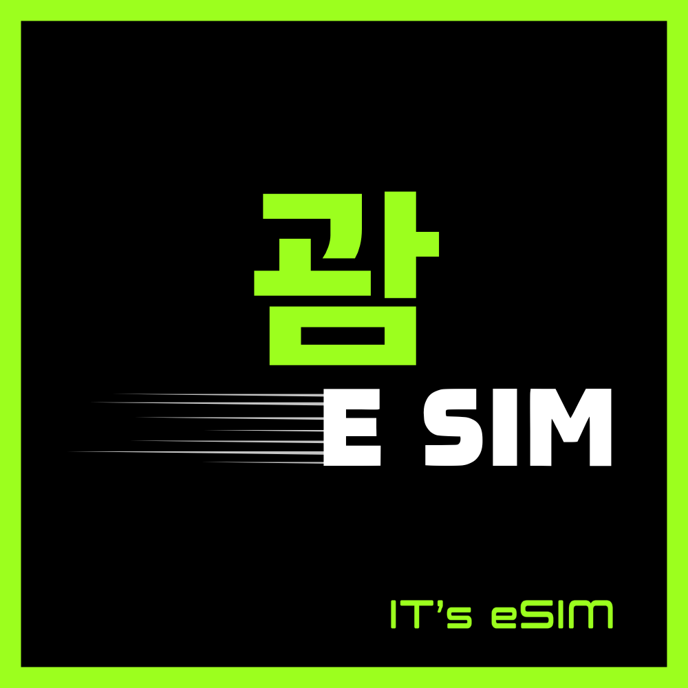 괌 이심 로컬 무제한 데이터 eSIM GTA 미국내 무료통화 e심 잇츠이심