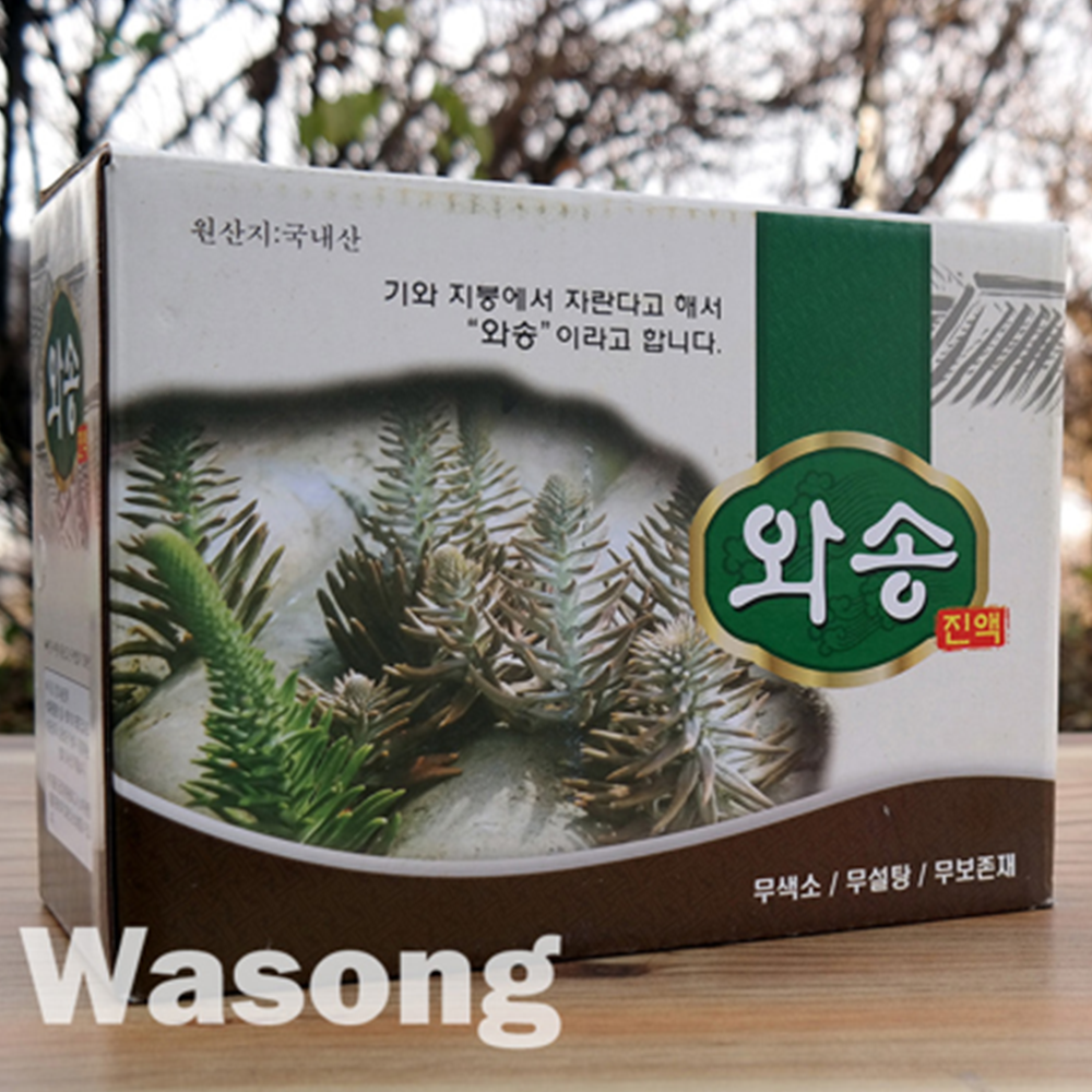 신토불이 생 와송 진액 즙 100ml 60포 6박스 국산 엑기스 농축액 액기스 선물 - 상세 이미지 5