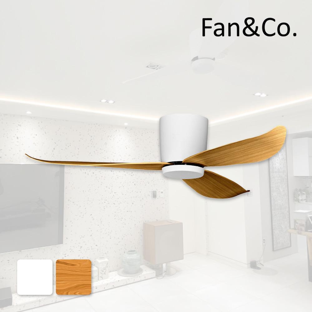 팬엔코 팬앤코 피노 실링팬