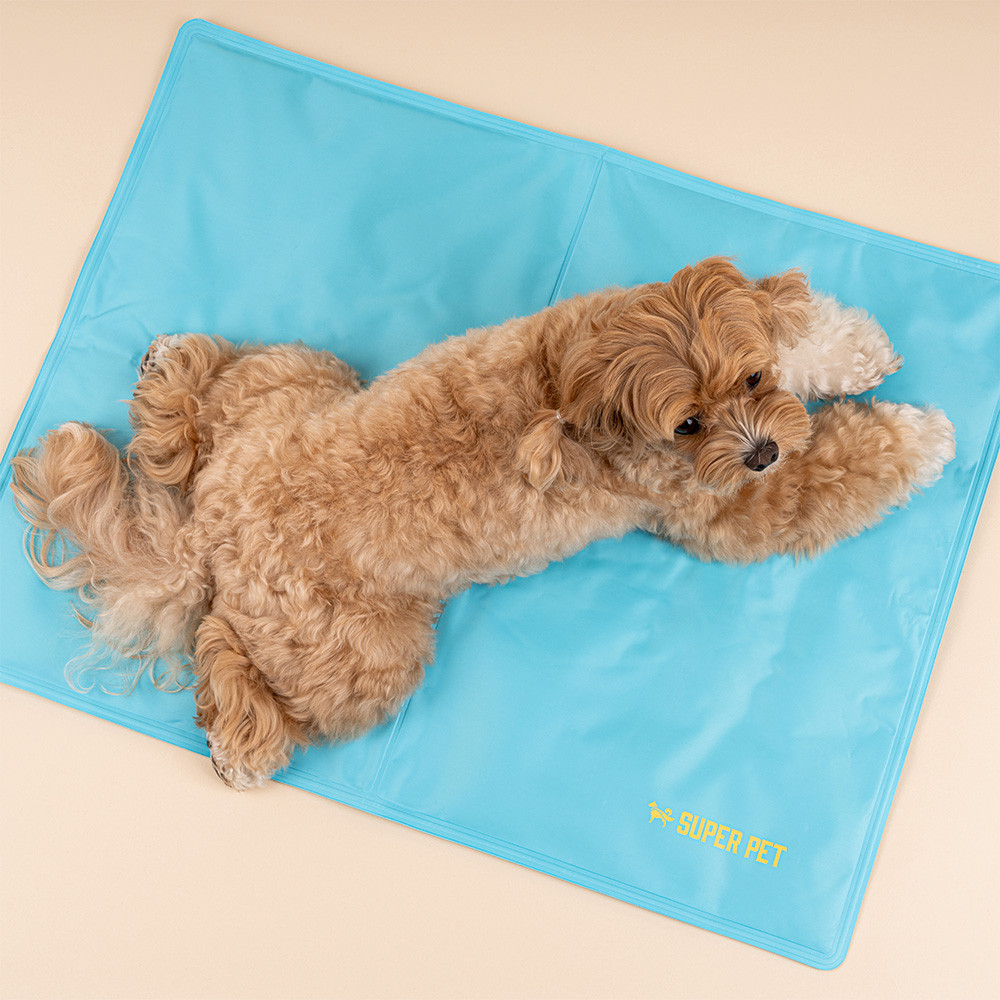강아지 쿨매트 고양이 애견 젤쿨매트 여름 냉감 반려견 쿨링방석