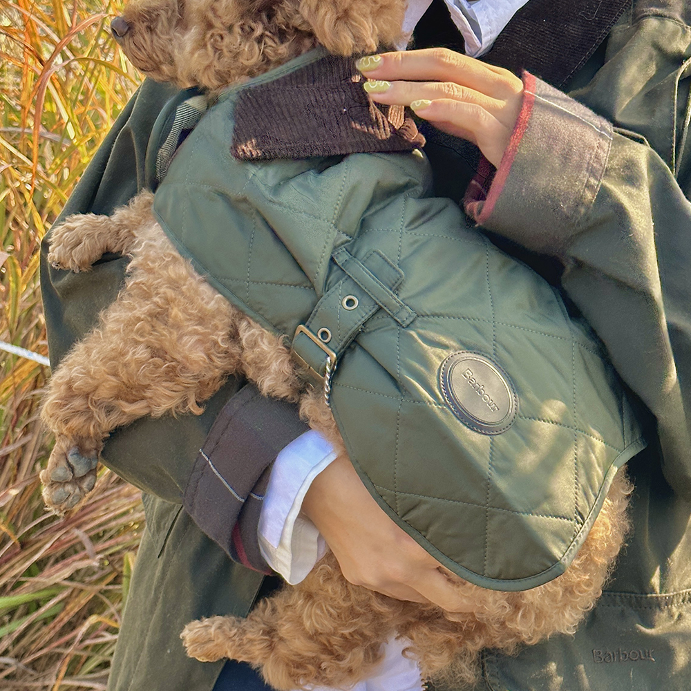 바버 강아지옷 퀼팅 자켓 강아지 패딩 애견의류