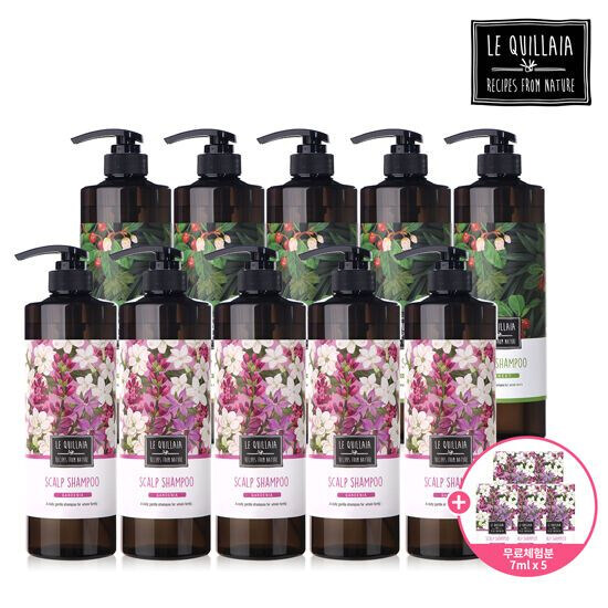 르퀼라야 스칼프 샴푸 대용량 810ml 10통 + 체험분 7ml 5매 - 메인 이미지