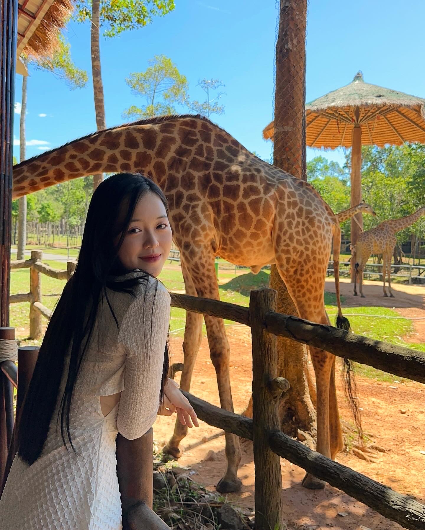 푸꾸옥 빈펄 사파리 빈원더스 콤보 QR티켓 입장권 대표 이미지