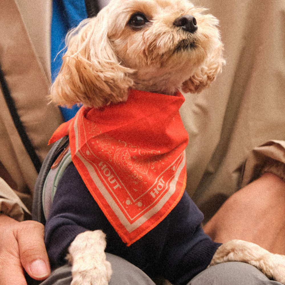 하웃 강아지 페이즐리 반다나 케이프 스카프 턱받이