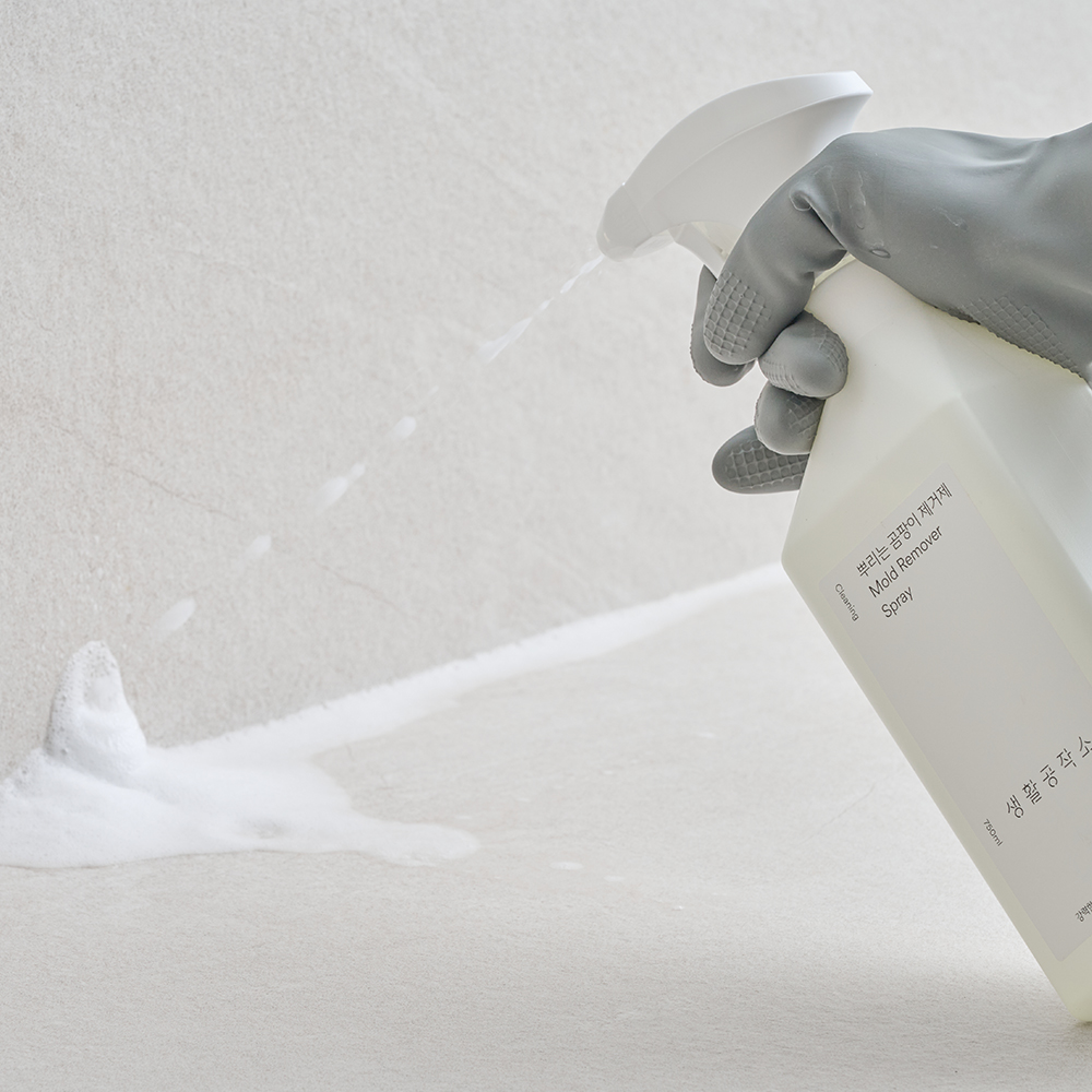 생활공작소 뿌리는 곰팡이제거제 750ml 1+1 이미지 3