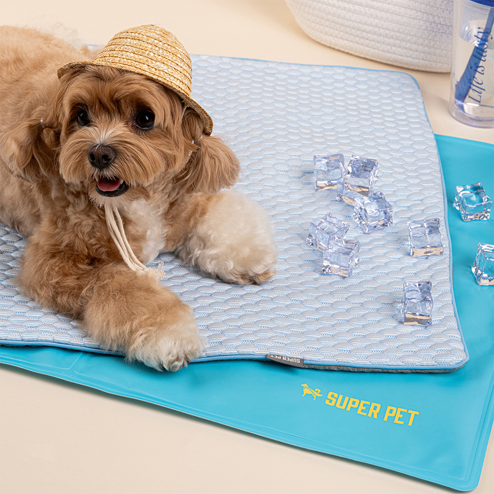 강아지 쿨매트 고양이 애견 매트 쿨링방석 여름 냉감 반려견 3종 셋트