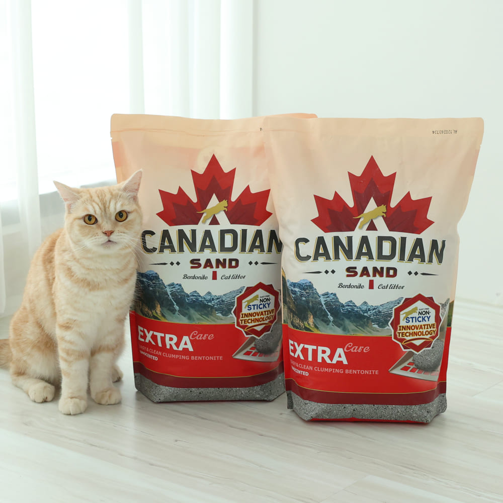 캐네디언샌드 고양이모래 벤토나이트 먼지없는 모래 8kg, 2개